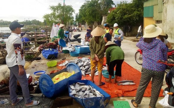 Lại xuất hiện hàng tấn cá chết nổi trắng sông ở Hà Tĩnh