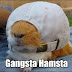 Gangster Hamster ~ Funny Joke Pictures