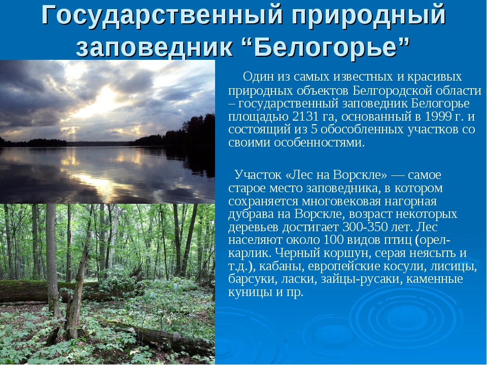 Ильменский заповедник - презентация онлайн
