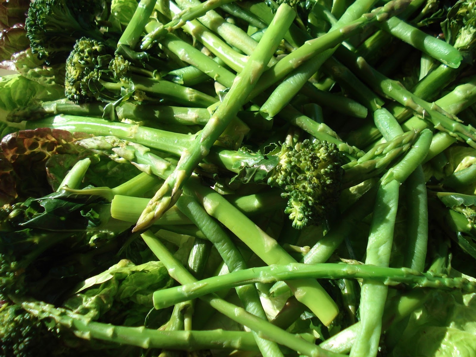 Asparagus, Tenderstem Broccoli & Green Bean Salad GF SCD Gluten Free