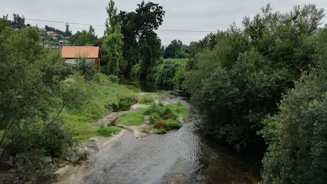 Rio Vizela em Vila Fria