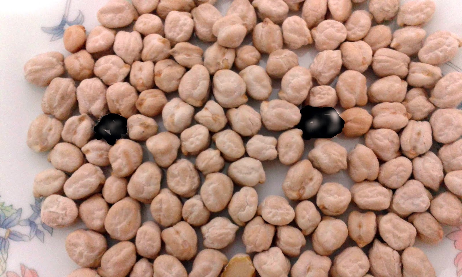 José Salguero Duarte Garbanzos negros