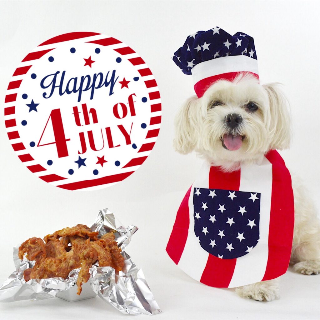 How To Care For Your Dog On The 4th Of July Holiday Doglopedix How To Care For Your Dog On The 4th Of July Holiday Doglopedix