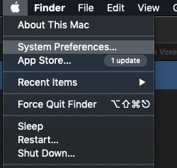 Adjust System Preferences for MagicaVoxel
