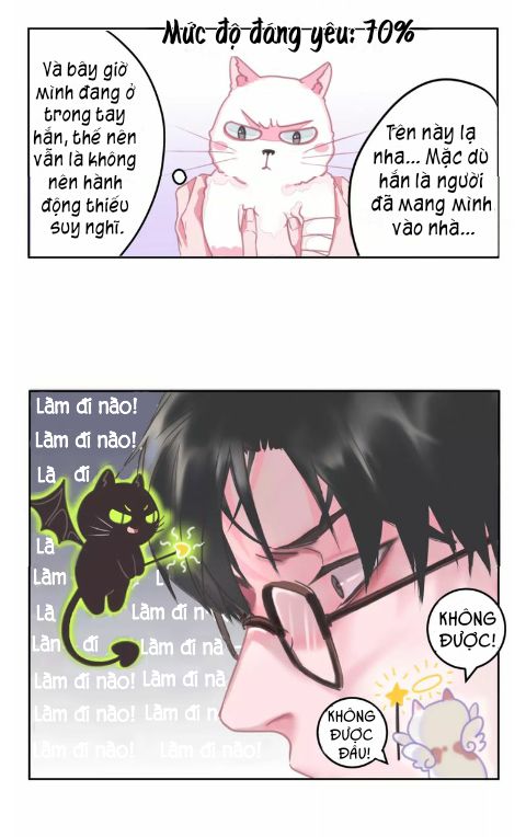 Đọc truyện Thế giới của một chú mèo - Chapter 1