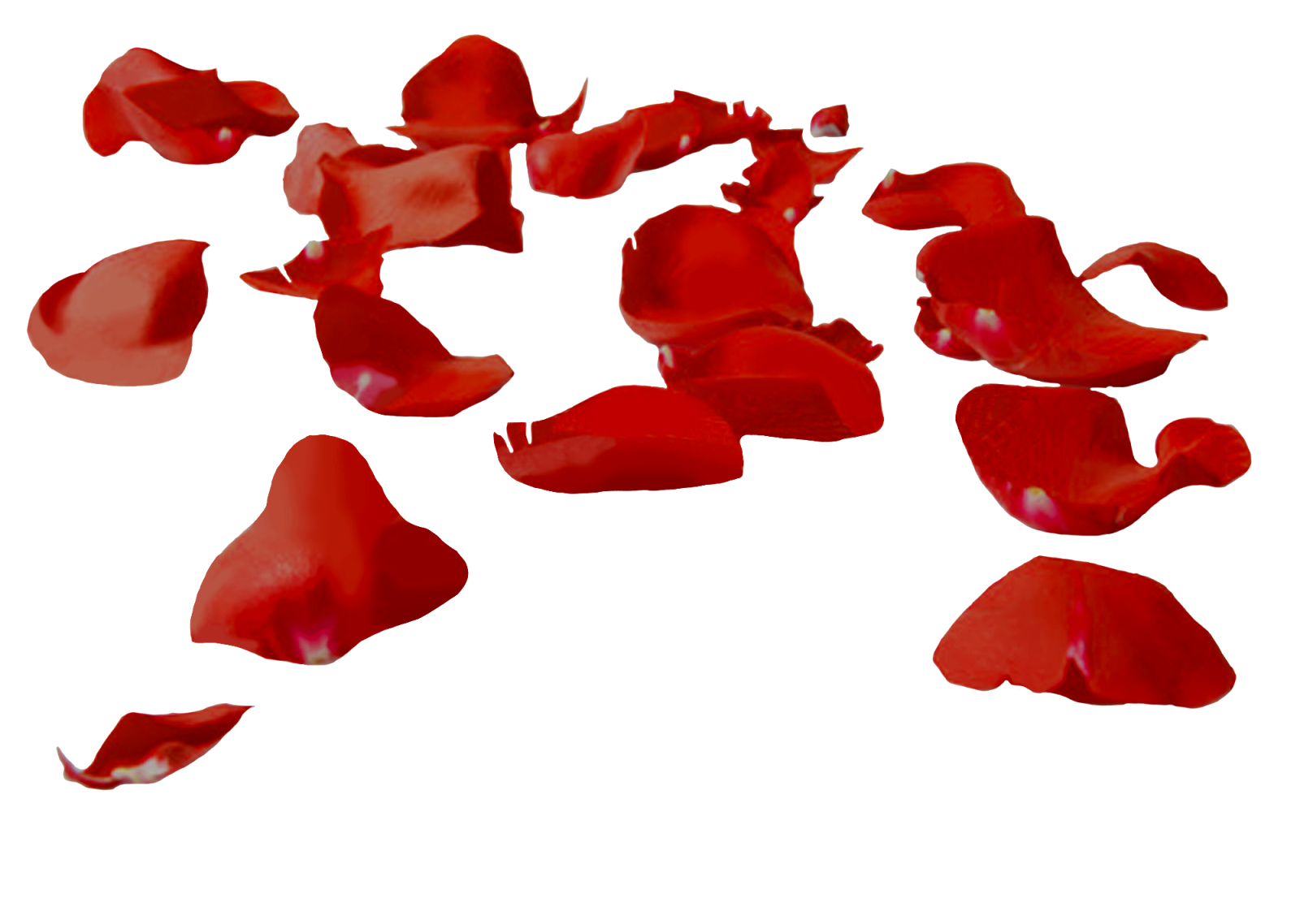 PNG Клипарт "Valentine's Day 