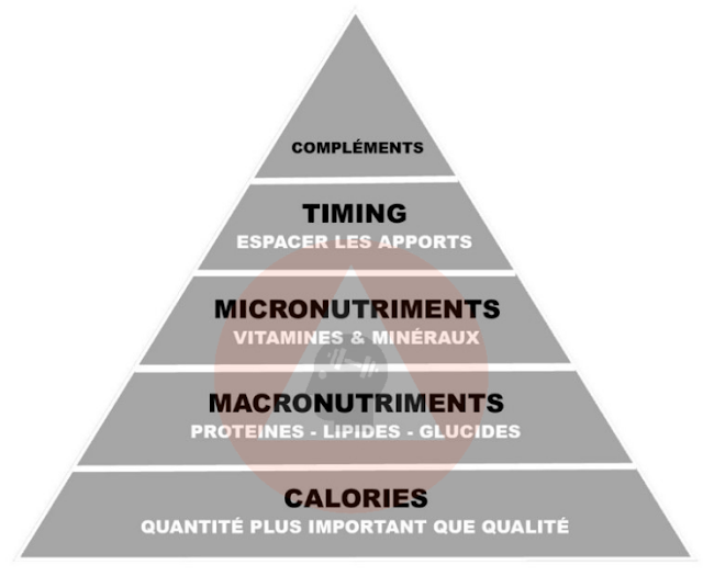 pyramide nutrition musculation fitness
