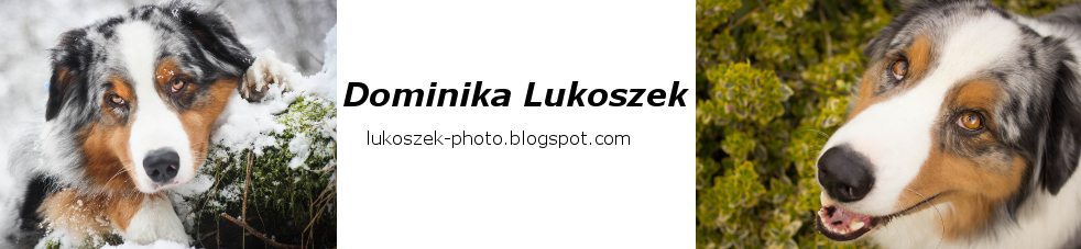 Dominika Lukoszek-fotografia