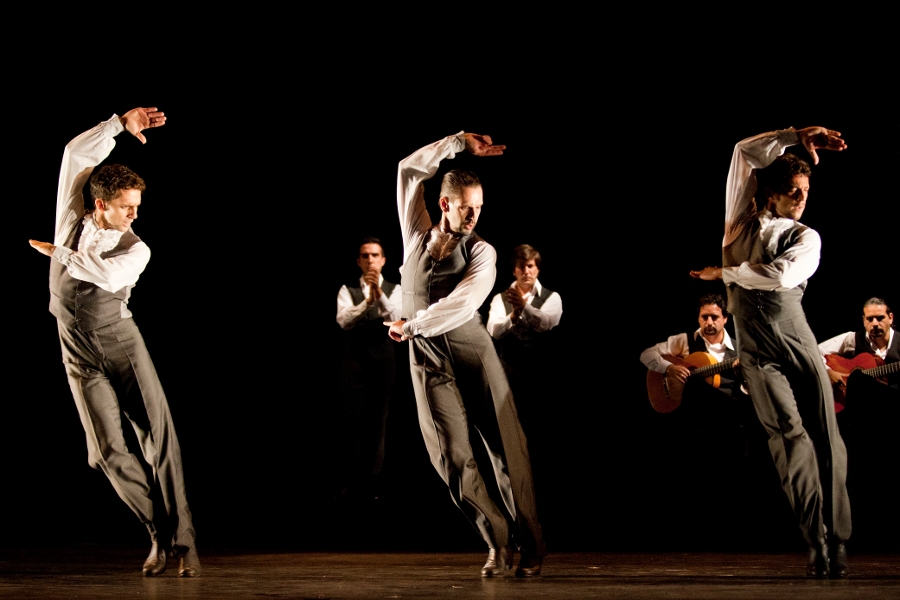 LO MEJOR DEL BAILE ¿CUÁNTOS PALOS DE FLAMENCO EXISTEN? LO MEJOR DEL BAILE ¿CUÁNTOS PALOS DE FLAMENCO EXISTEN?