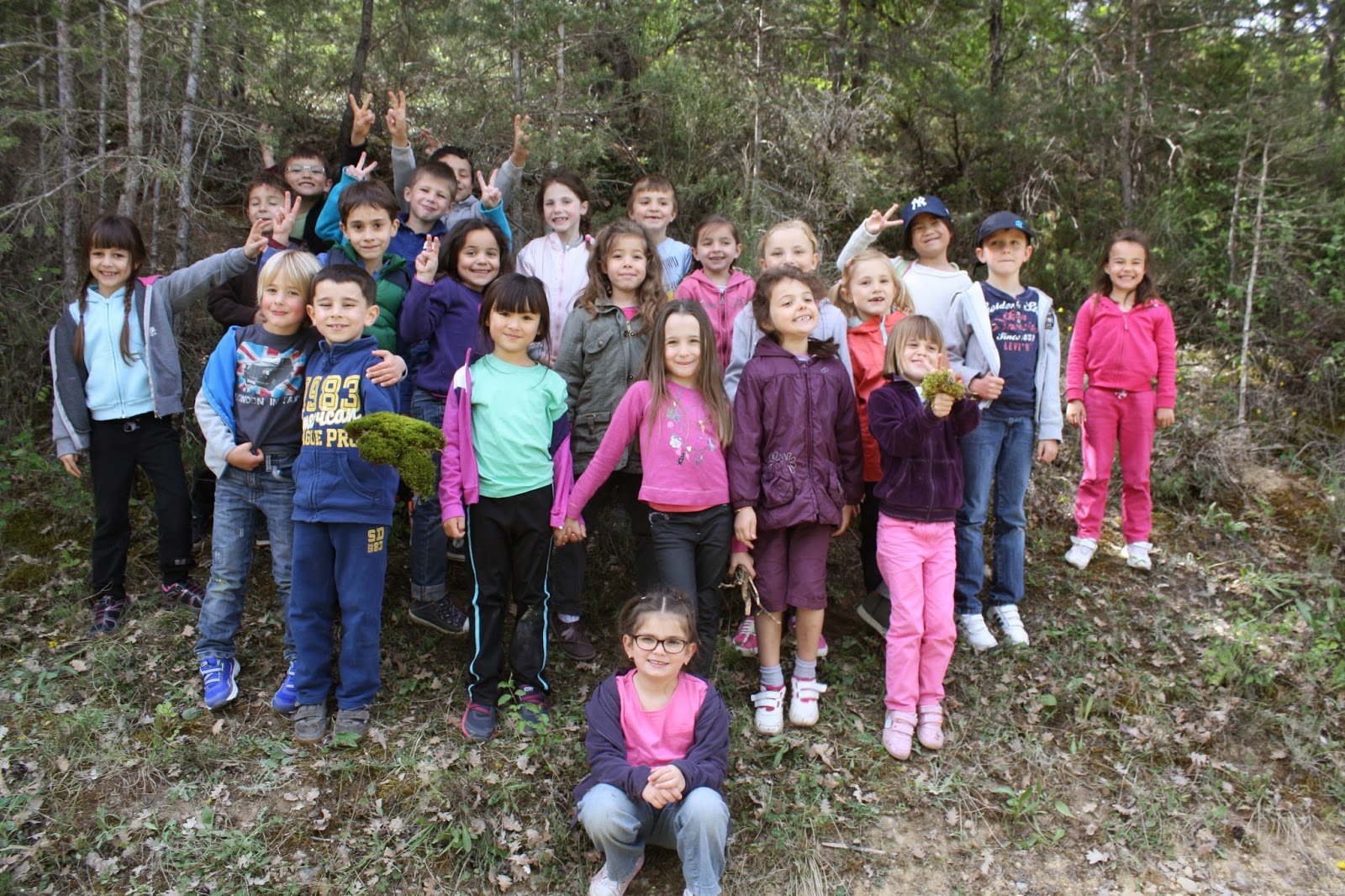 Classe verte CP 2014