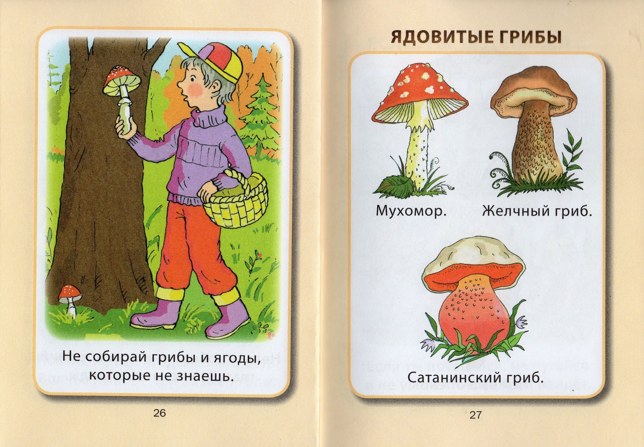 Знак нельзя собирать грибы. Ядовитые грибы во дворе. Ядовитые грибы картинки для детей. Не ешьте ядовитые грибы. Знак ядовитые грибы.