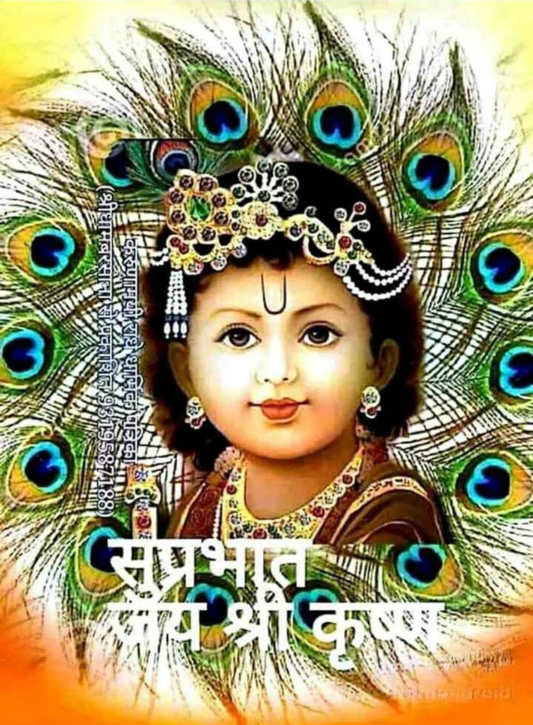 Top 10 Good Morning Happy Krishna Janmashtami Wishes, Images ...