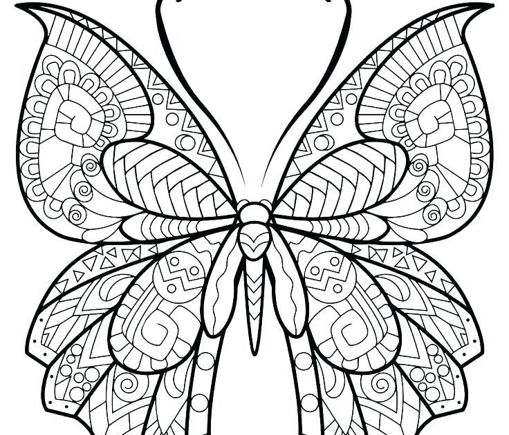 Free Butterfly Coloring Pages ~ Coloring Print