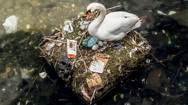 Basura problema contaminación planeta