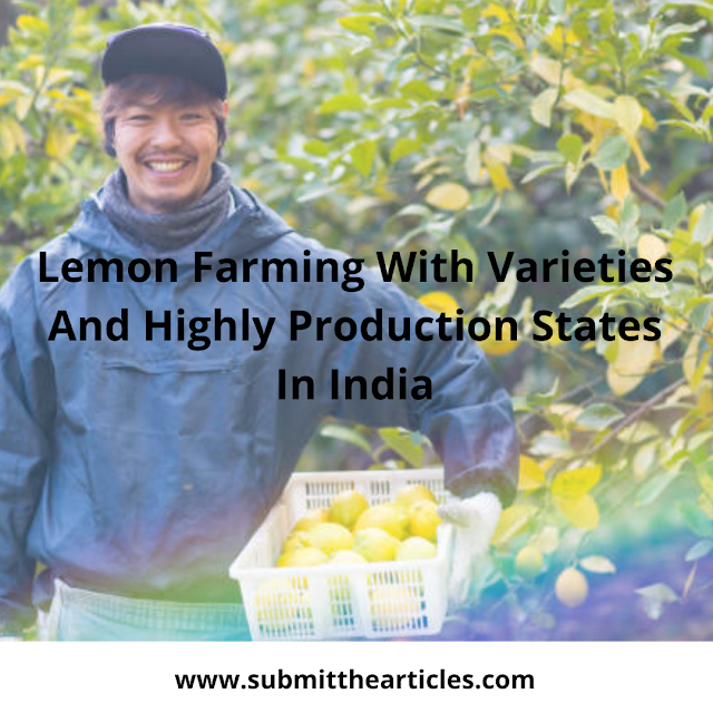 Lemon Farming With Varieties And Highly Production States In India