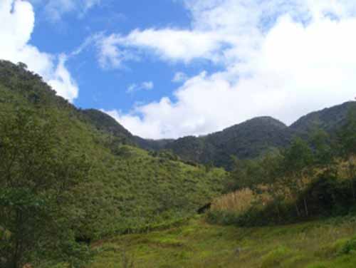 bosque pagaibamba