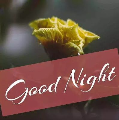 Good Night Images Good Night Images