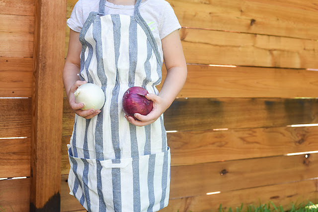 sew a tea towel apron