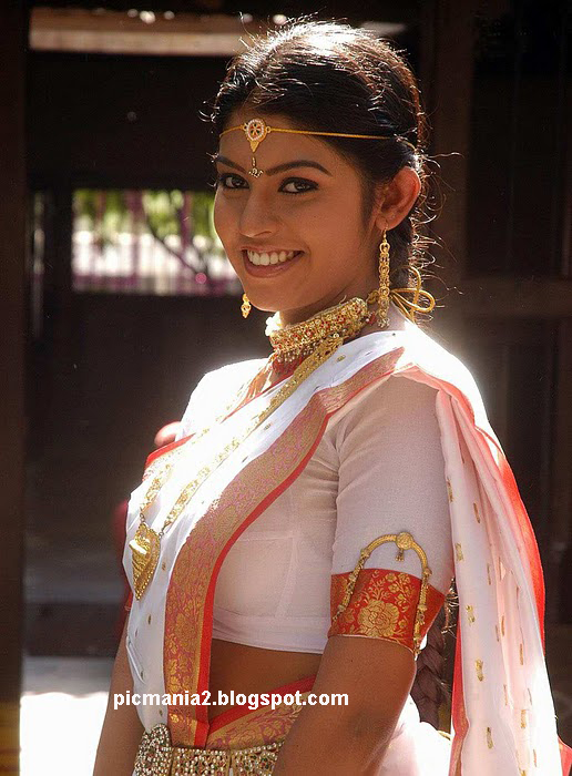 South indian actress sexy saree bikini and bra  prathishta hot image 