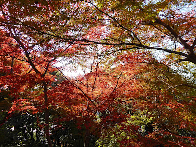 野崎観音・慈眼寺（じげんじ）の紅葉