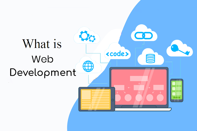 what is web development