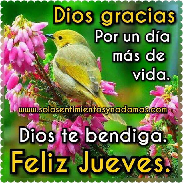 Feliz jueves.