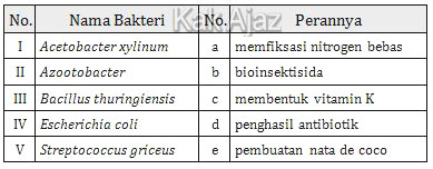 Tabel bakteri Acetobacter, Azootobacter, Bacillus, Escherichia, dan Streptococcus beserta perannya, tabel soal biologi UN 2019
