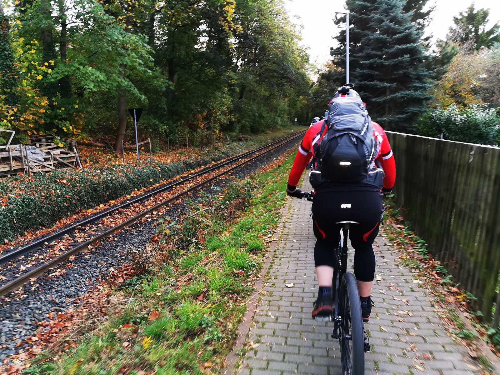 Kahle Baume Blattlose Kahle Kunstbaume Grosse Dekobaume
