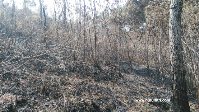 sisa kebakaran di puncak papanggungan gunung manglayang