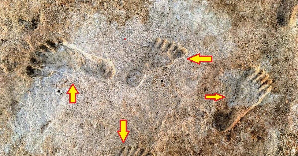 Fossil Footprints Reveal Humans Inhabited North America Over 21,000