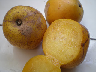 mango ciruelo norteño