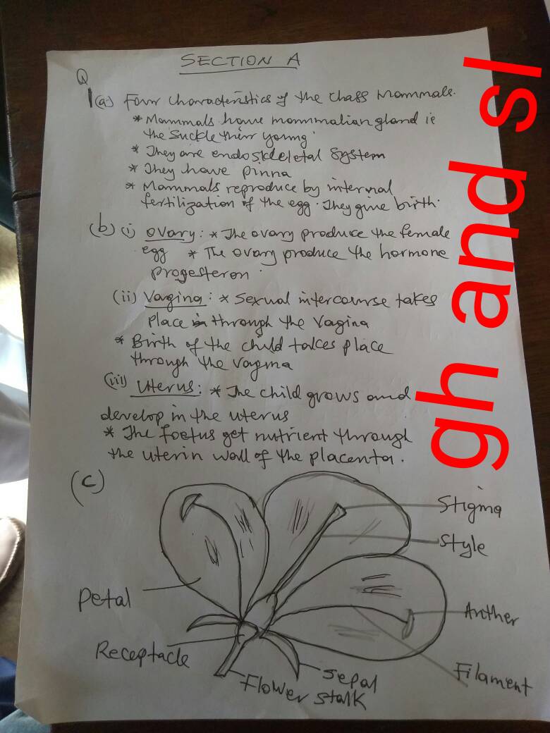 Waec past question 2020 picture