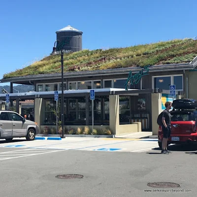 exterior sod roof at Amy’s Drive Thru in Rohnert Park, California