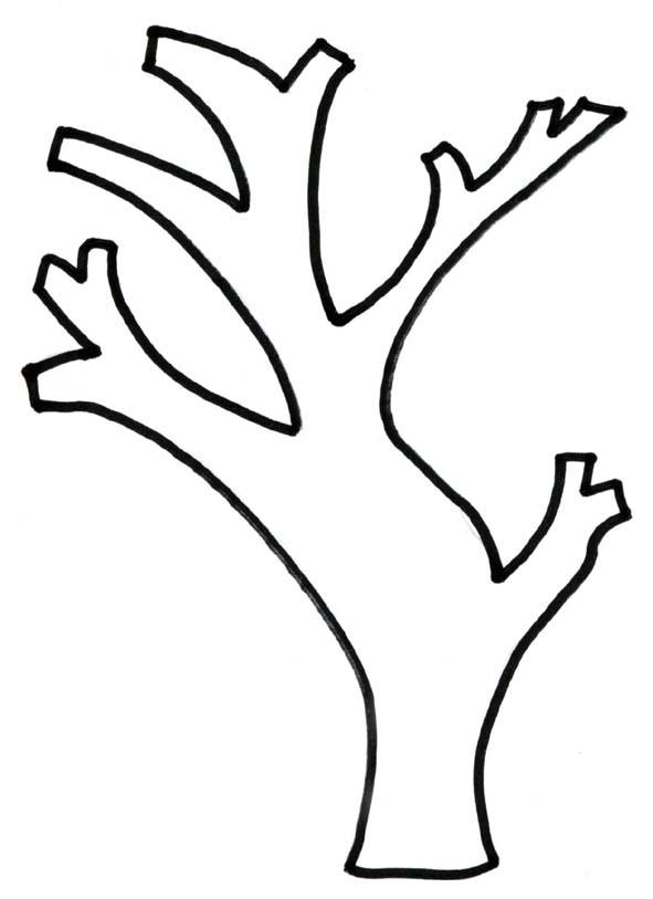 AULAS PARA EVANGELIZAÇÃO INFANTIL Amor às plantas AULAS PARA EVANGELIZAÇÃO INFANTIL Amor às plantas