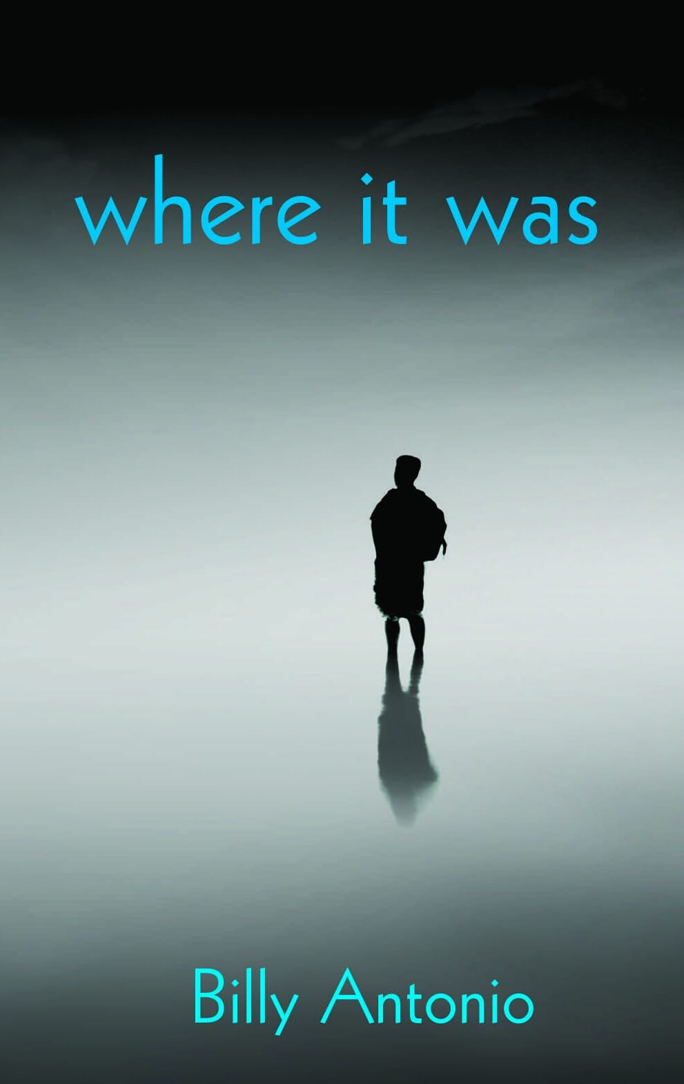 where it was (Clare Songbirds Publishing House, New York)