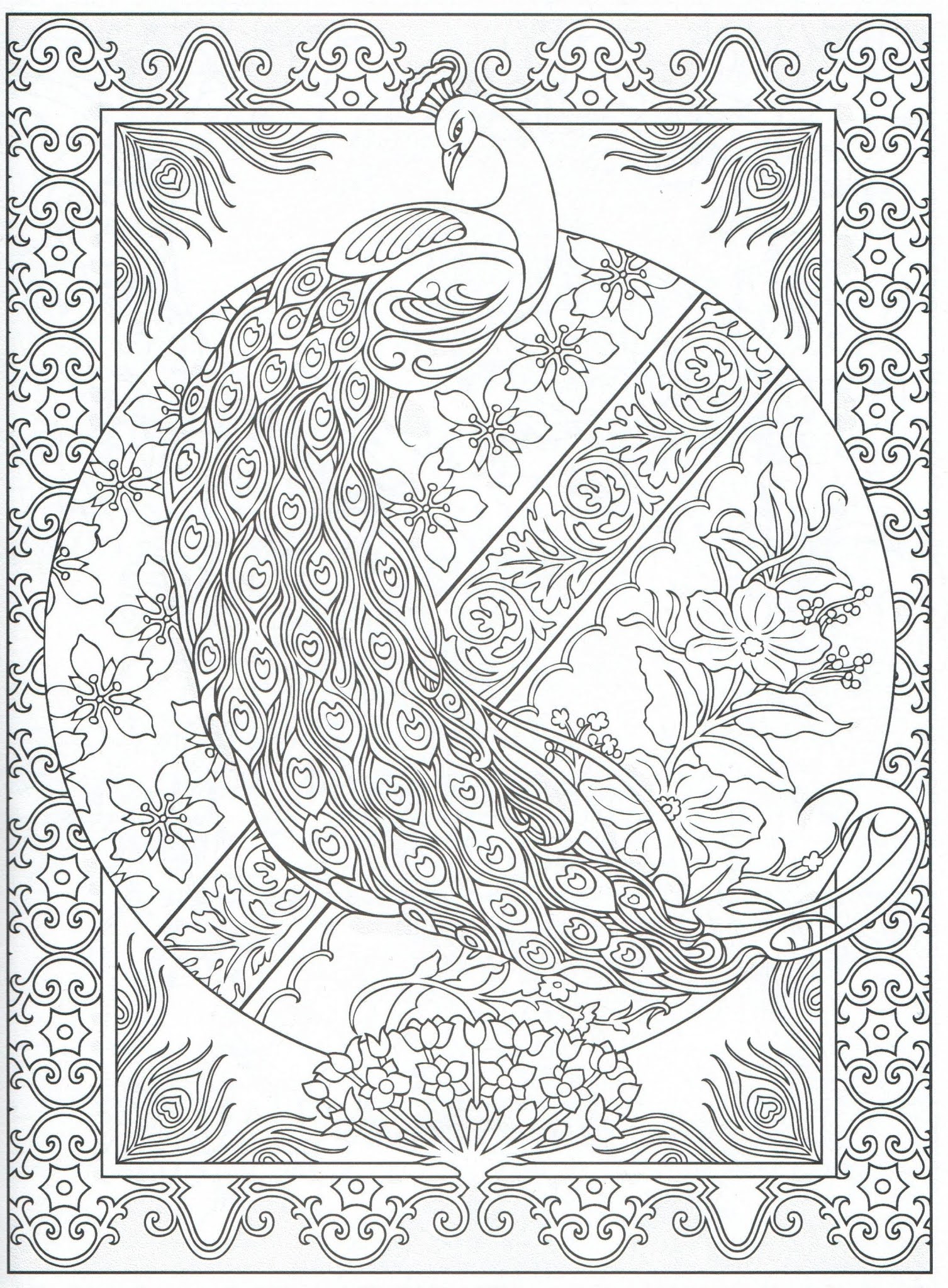 Peacock Coloring Pages For Adults 2 ~ Coloring Pages
