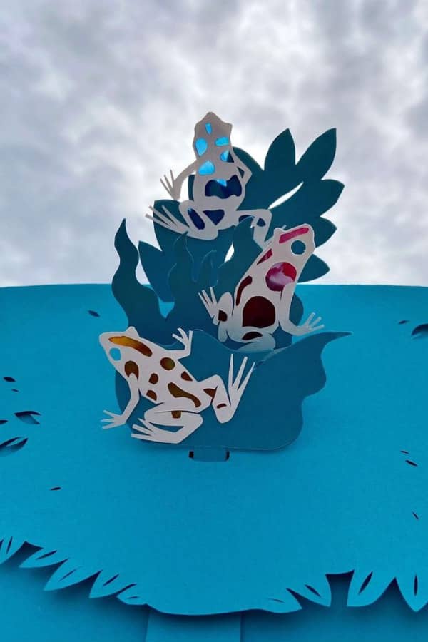 three papercut pop-up harlequin poison frogs