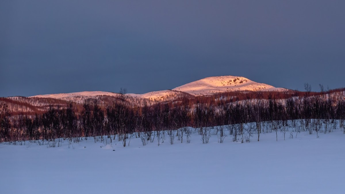 Природа и природный пейзаж в фотографиях