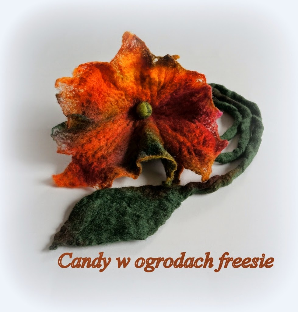 Candy w ogrodach freesie