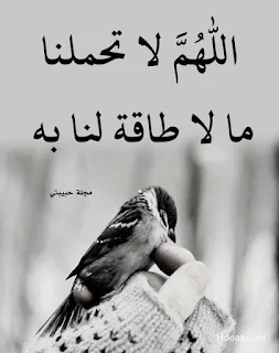 صور حلوه