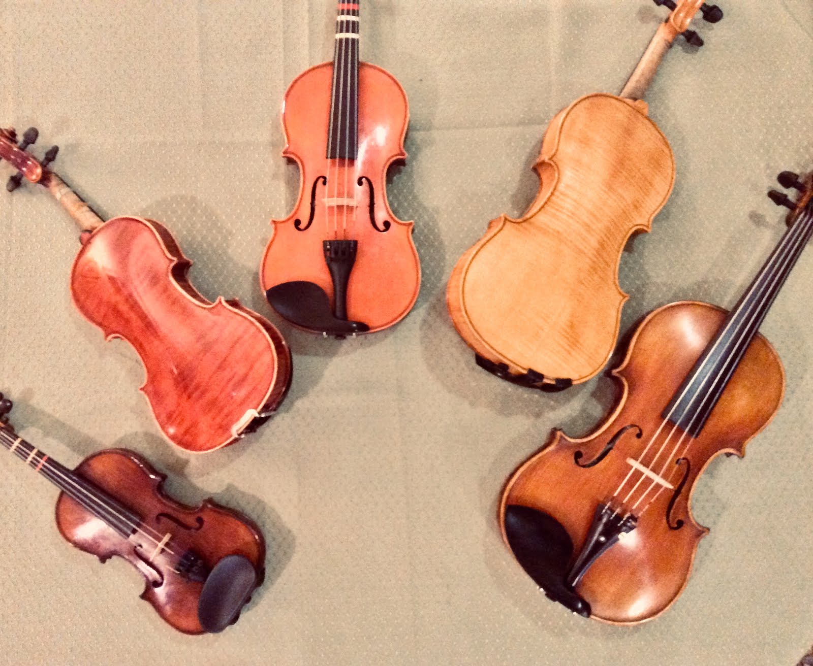 The Violin Shop: Rent or Buy- Which is Best? Done the Math!