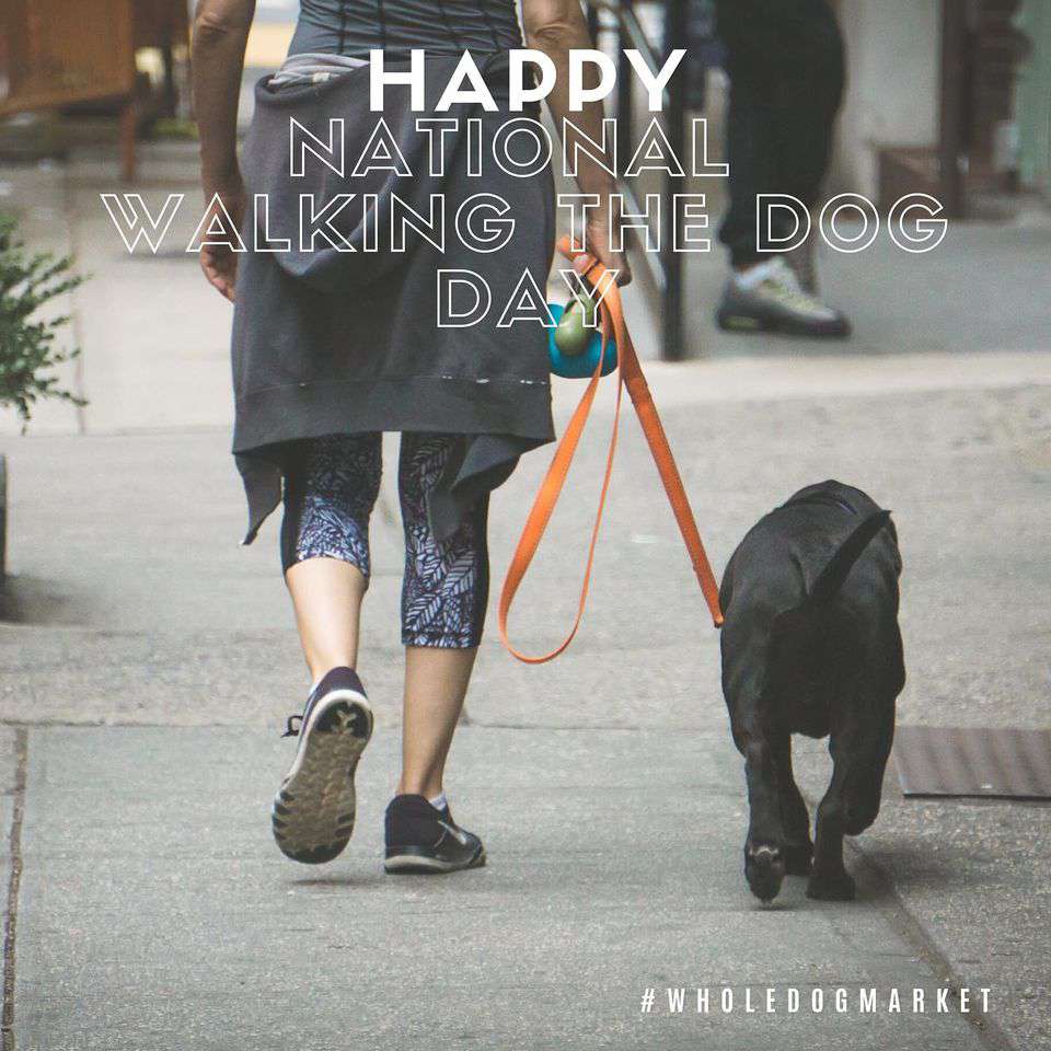 National Walking the Dog Day Wishes Awesome Images, Pictures, Photos, Wallpapers