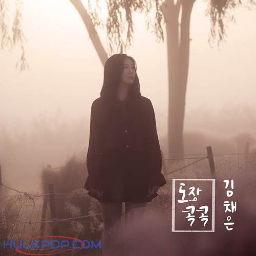 Kim Chae Eun – 도장 콕 콕 – Single