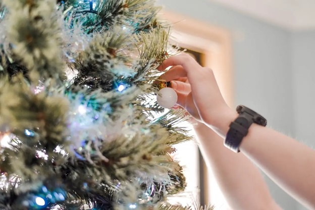 Pine Concept Review, Pencil Frasier Fir Christmas Tree, Christmas ornaments, Christmas decoration, Christmas, Lifestyle