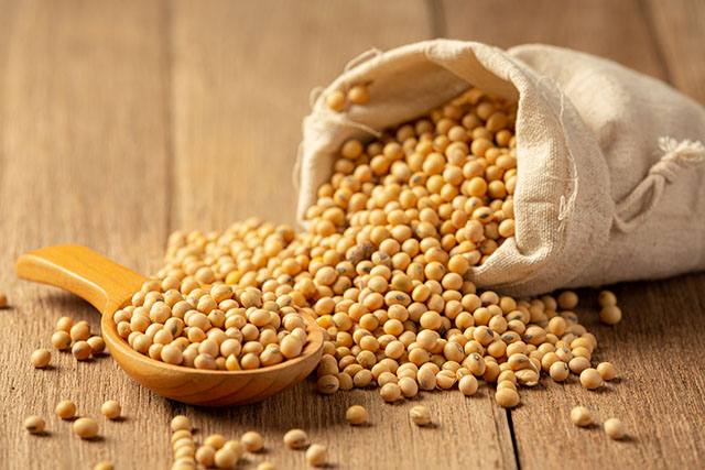 6 vegetarian foods that strengthen your bones 6 vegetarian foods that strengthen your bones