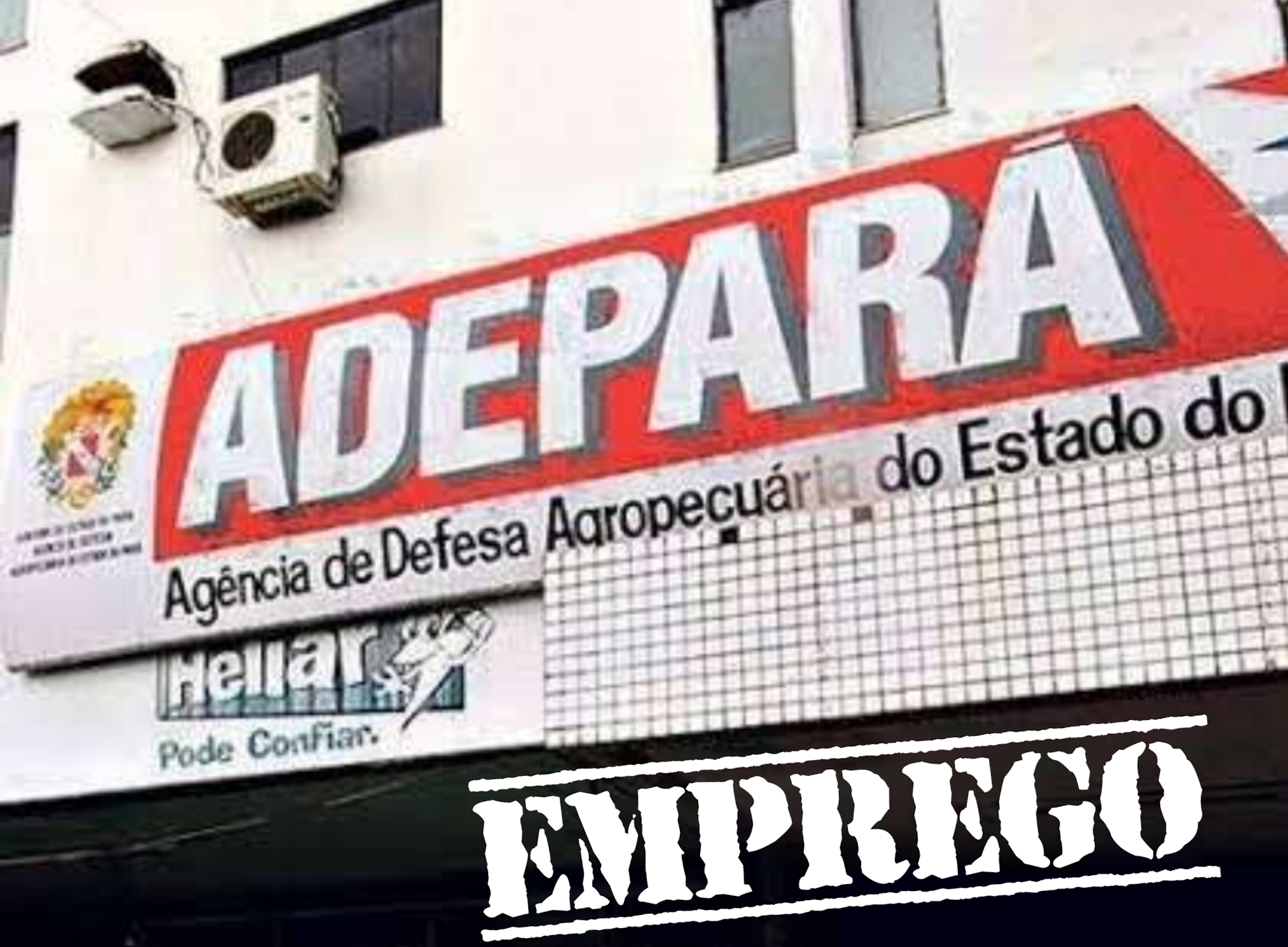 Adepará abre Processo Seletivo Simplificado com 65 vagas