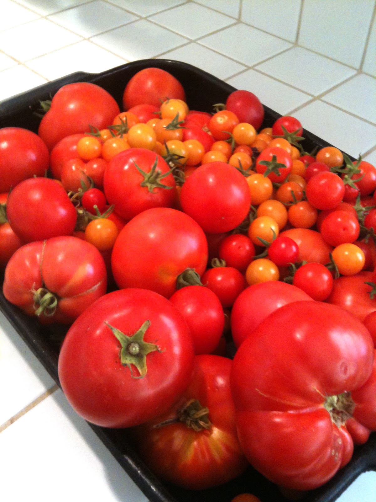 You Say Tomato, I Say Tomato Sauce Knitionary