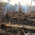 Número de alertas de desmatamento na Amazônia Legal é o 2º pior em 5 anos