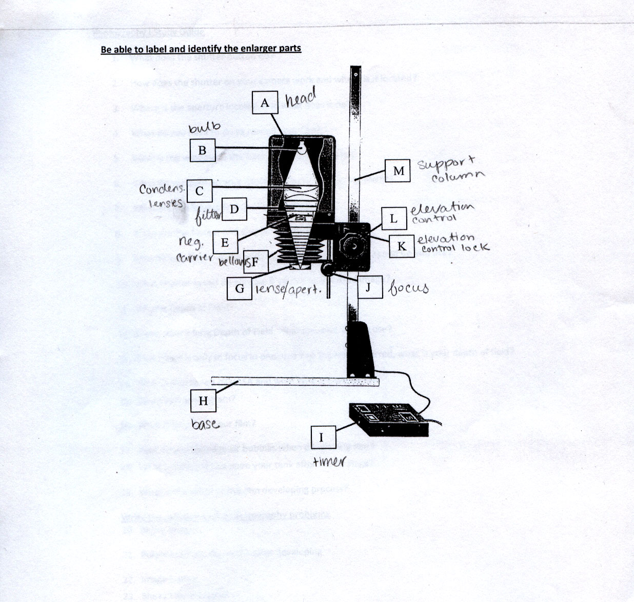 Sarah Carlson Journal Camera and enlarger parts