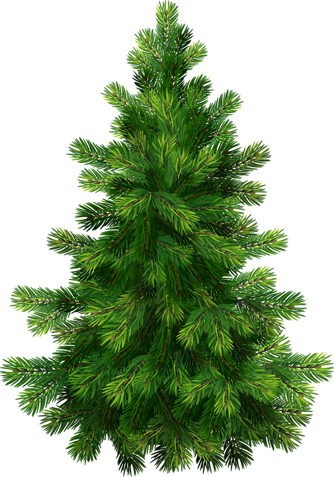 Christmas Tree Snow free png file by pngkh.com - PNGKH.COM